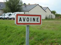 Avoine