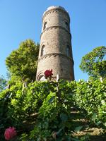 Turm der Heiligen Maria
