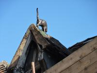 Gasthaus mit Katze auf dem Dach