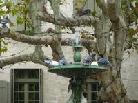 Brunnen am Platz der Kräuter