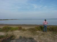Weite der Camargue