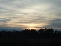 Abendstimmung in der Camargue