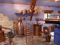 Destillationsgeräte von Lavendel