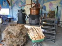 Destillation von Lavendel