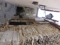 Nizza und Côte d'Azur - Single-Treuekundenreise