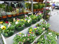 Nizza und Côte d'Azur - Single-Treuekundenreise