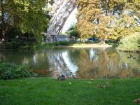 der Nutria vom Eifelturm