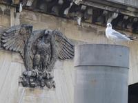 Pont d`lena,die den Champ de Mars und den Eiffelturm mit dem Palais de Chaillot und den Jardins du Trocadéro verbindet.