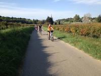 054 Kurs auf Chateauneuf-du-Pape