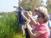 6_Camargue (11)