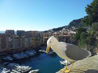 Silvesterreise Nizza - Jahreswechsel an der Côte D´Azur