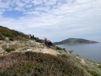 IMG_4346_Wanderung am Cap Corse