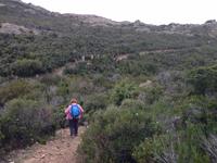 IMG_4427_ Agriates-Wüste