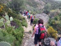 IMG_4458_ Agriates-Wüste