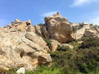 IMG_4494_Naturschutzgebiet La Revellata