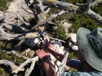 IMG_4672- und wieder versteckt