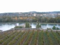 Blick auf die Rhône