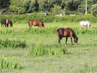 Zöllnerpfad Wanderung in Maccinagio 