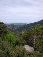 auf dem Weg nach Porto Vecchio 