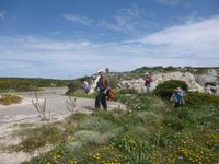 Wanderung in Bonifacio 