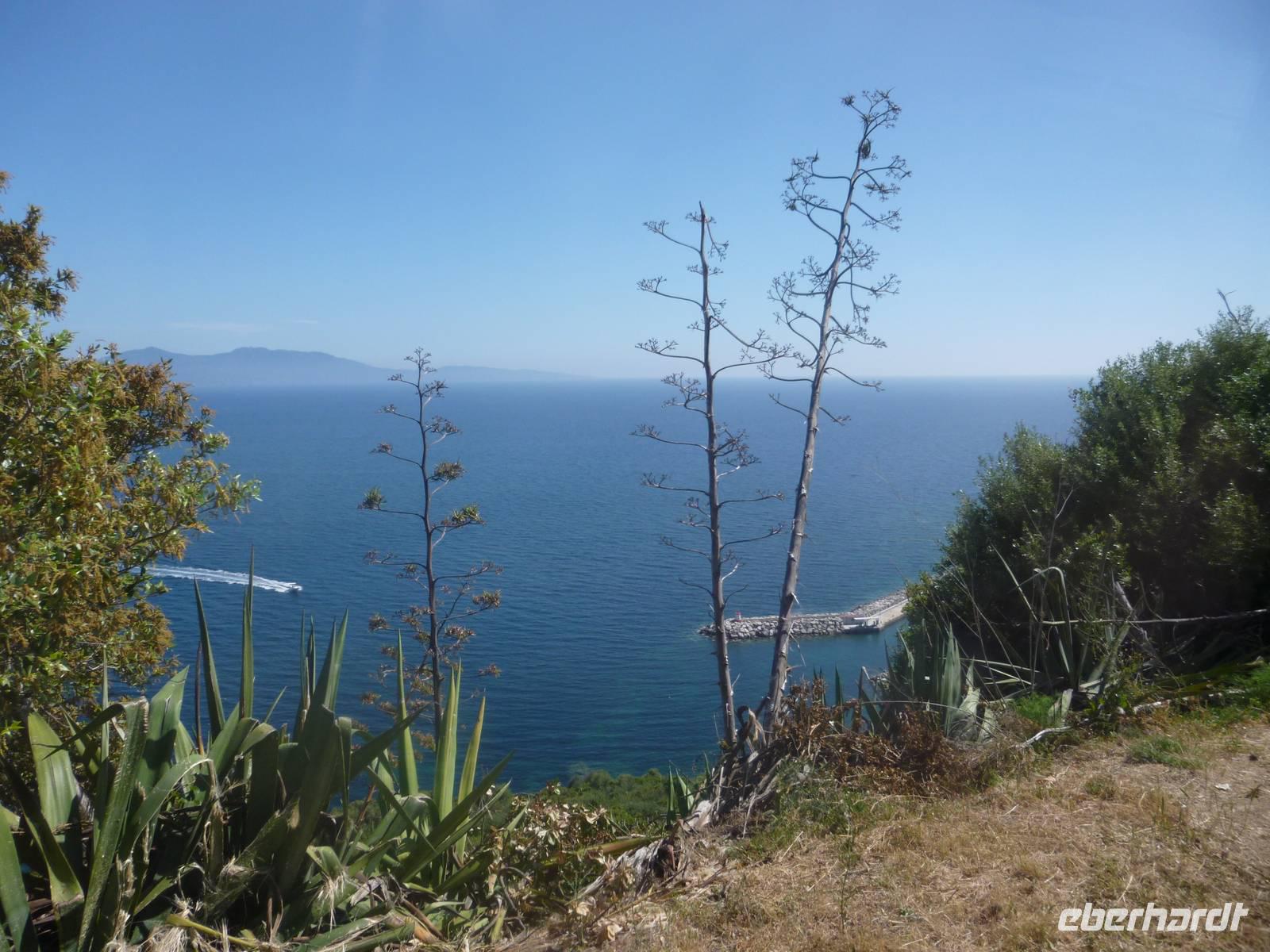 auf dem Rückweg nach Porticcio 