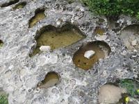 Auswaschungen im Kalkstein der Ardecheschlucht