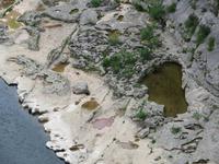 Auswaschungen im Kalkstein der Ardecheschlucht