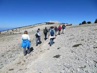 Wandern auf den Mont Ventoux