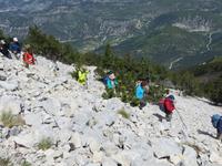 Ostseite des Mont Ventoux