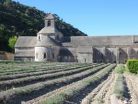 Kloster Senanque
