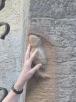 Rhône & Saône 2014 (109)