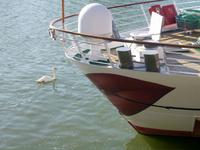 Rhône & Saône 2014 (124)