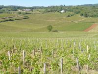 Rhône & Saône 2014 (127)