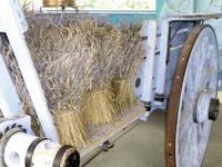 Rhône & Saône 2014 (169)