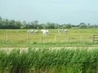 Rhône & Saône 2014 (190)