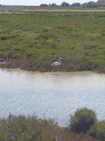 Rhône & Saône 2014 (193)