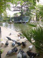 Rhône & Saône 2014 (228)