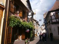 Viel Grün und wunderbare Ausleger