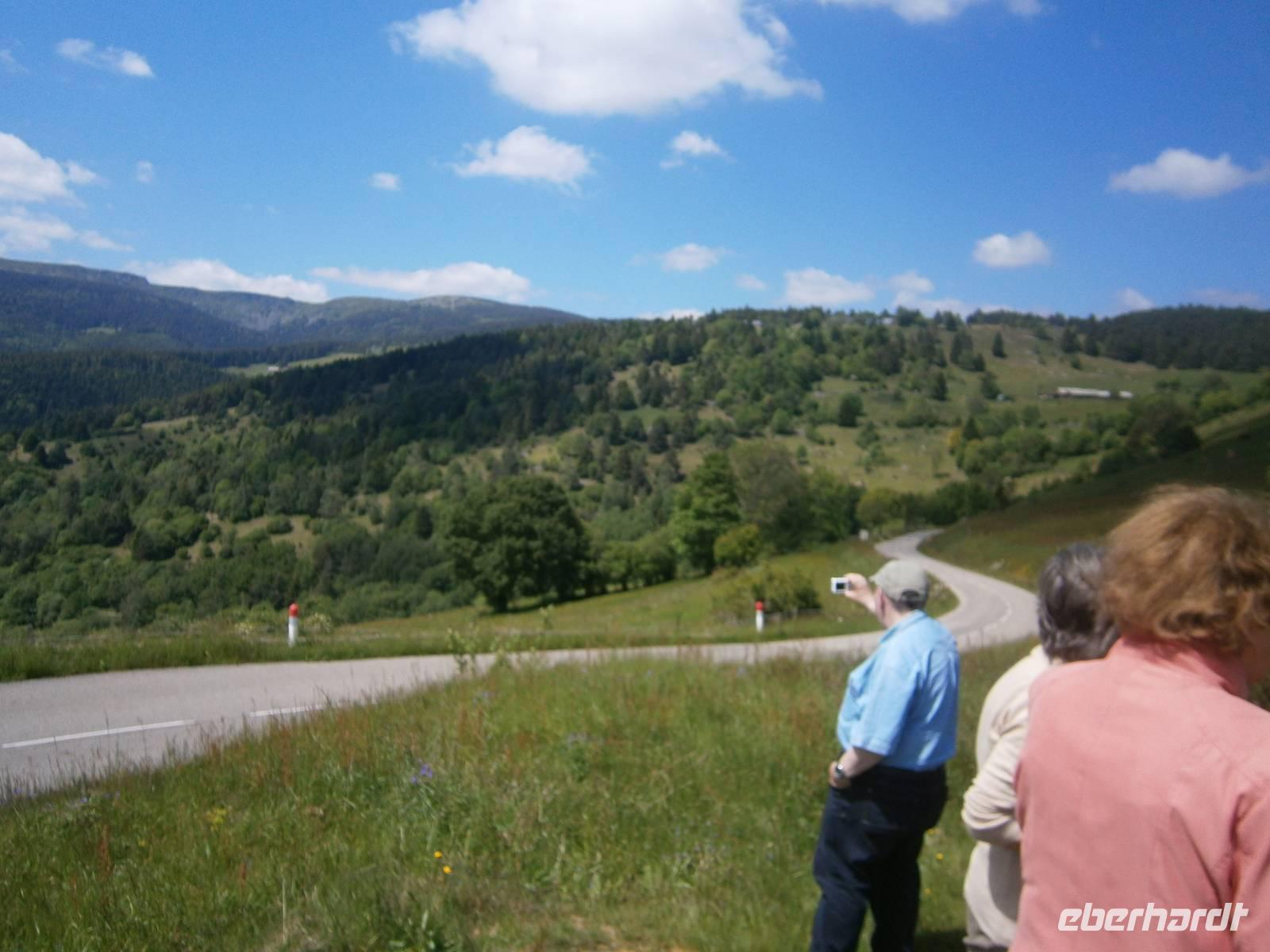 Blick auf die Vogesen