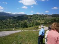 Blick auf die Vogesen