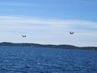 Golf von Saint-Tropez