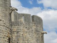 Aigues Mortes