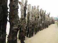 Schutzmauer am Strand in St. Malo