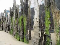 Schutzmauer am Strand in St. Malo