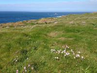 5179_La Pointe du Raz