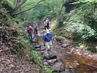 Wald der Brocéliande