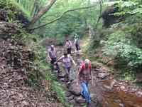 Wald der Brocéliande
