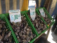 Austernprobe in Cancale