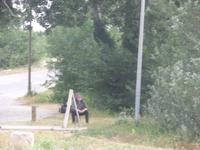 an der Van Gogh Brücke 