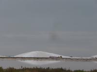 Salinen der Camargue -Saline du midi 